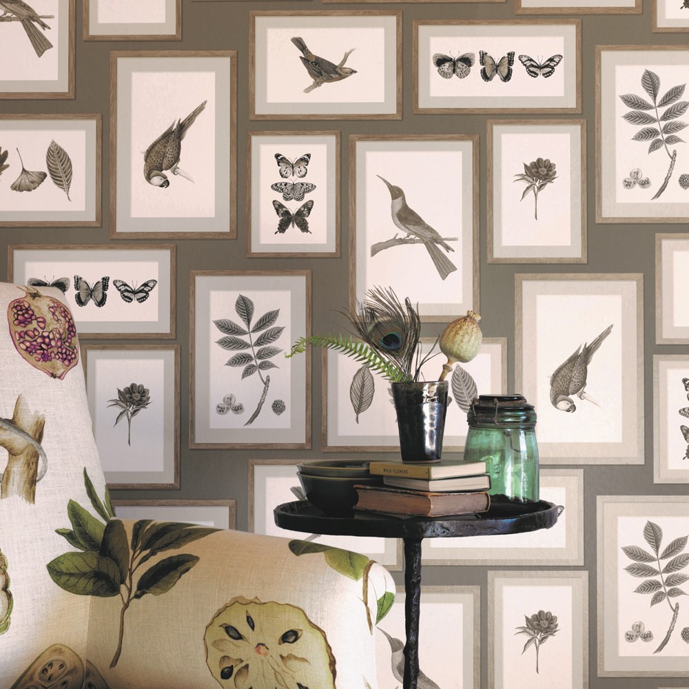 Picture Gallery Wallpaper 213497 by Sanderson in Taupe Sepia Brown